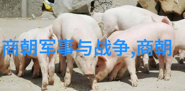 中国最出名的名人齐聚庆小康迎新春河东山东齐鲁书业盛大举办全市老年书画小品展