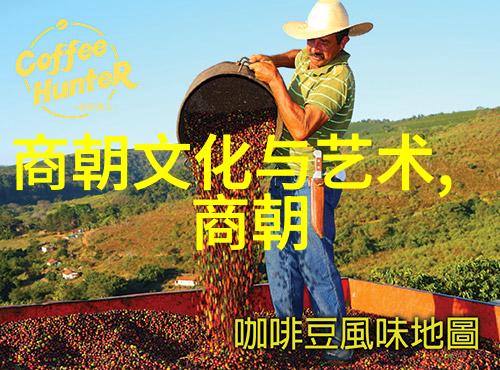 高句丽百济伽倻三国并立下 唐朝对外征服和开放政策的反思