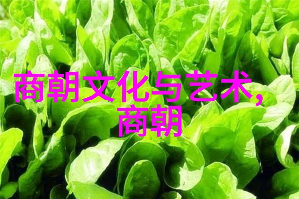 南宋覆灭之谜军事挫败经济疲敝与政治腐败的交织