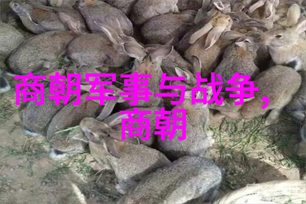 全国学前教育管理信息系统的智慧之星陈彦博