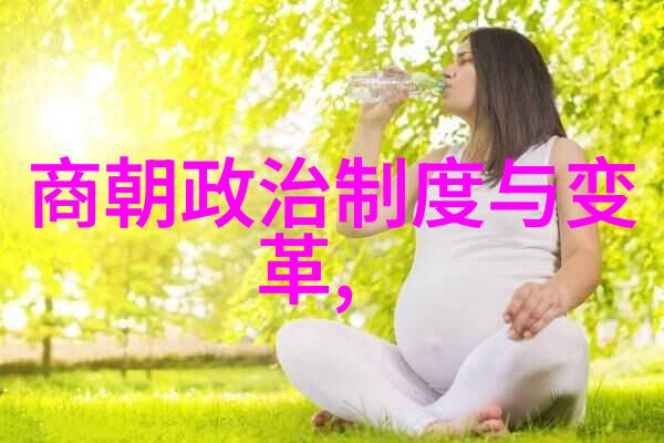 中国最弱的三个朝代我眼中那些摇摆不定的大朝廷