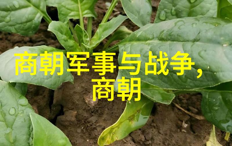 明清交接期所面临的问题与解决方案考察