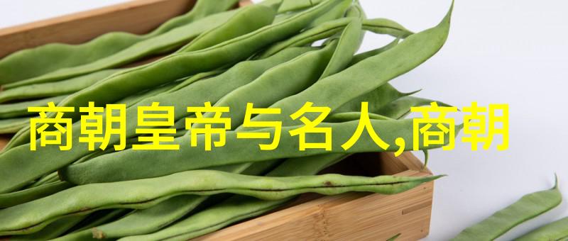 碧波荡漾明朝历史的沉浮镜头