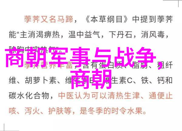 风云变幻中的君臣之争朱允炆与朱棣的对决
