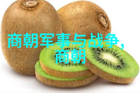 宋国历史百年间犹如一座被岁月侵蚀的古城每砖每瓦都承载着无数故事姚广孝明朝之奇僧以妙解著称他的手法就像