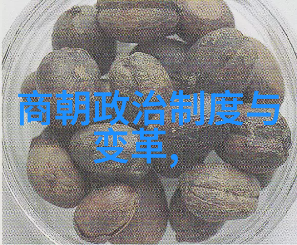 埃丁森卡瓦尼中国四大文化名人之下