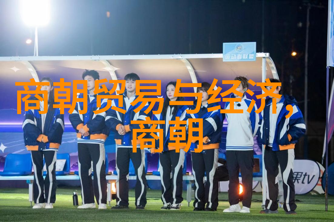 进入明代视窗探索未知的世界推荐观看方法