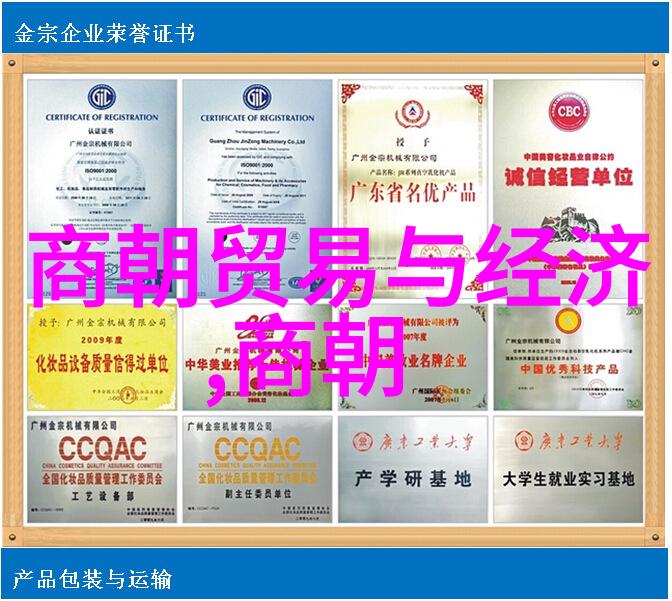 历史 大清朝的兴衰荣辱从康熙到慈禧的盛世与末路