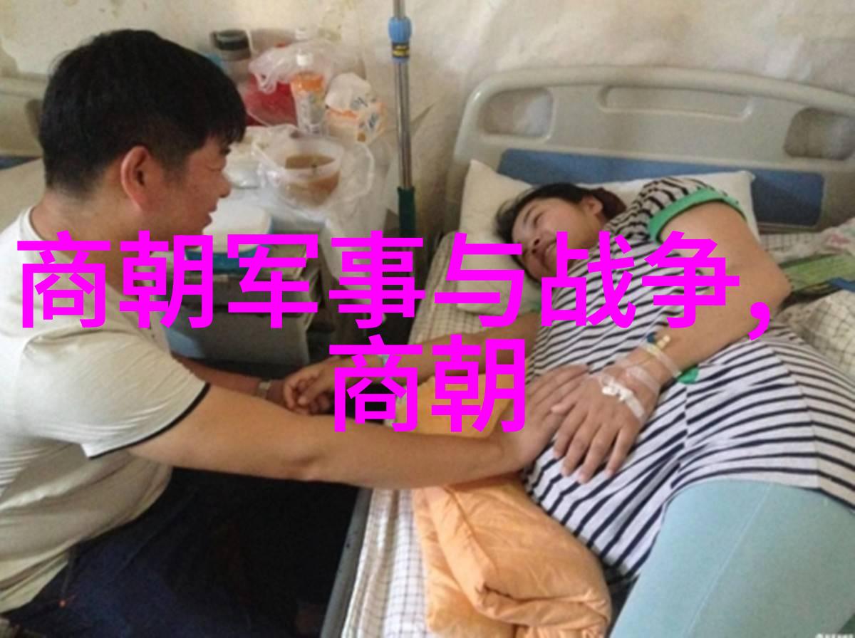 食物饮品与文化传承重新发现大明美食