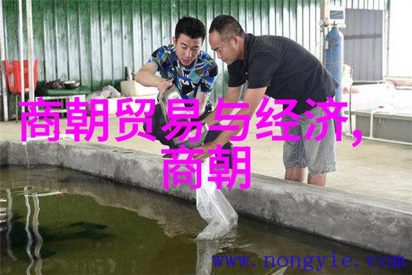 孟珙的艺术之旅南宋名将与画家的故事