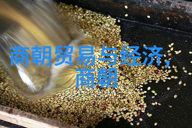 偷风不偷月我怎么就忍心去偷走你的明天