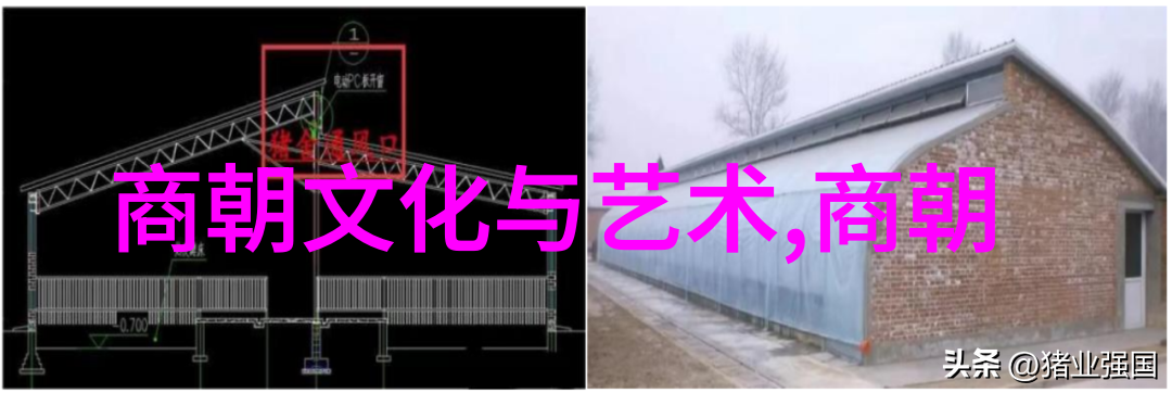 宋朝十八帝从辉煌到衰落的天命之转