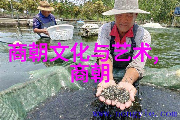 明史探究如何在100字内捕捉时代脉搏