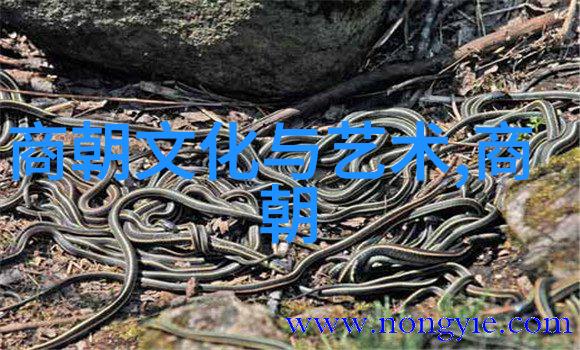 生活点滴我在紫府仙园度过了最温馨的假期