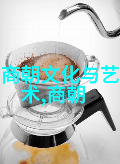 辽金历史的遗漏探究为何不被列入正史