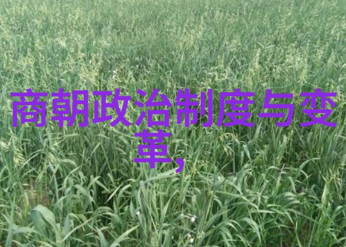 星际传说异世之双狼夺爱
