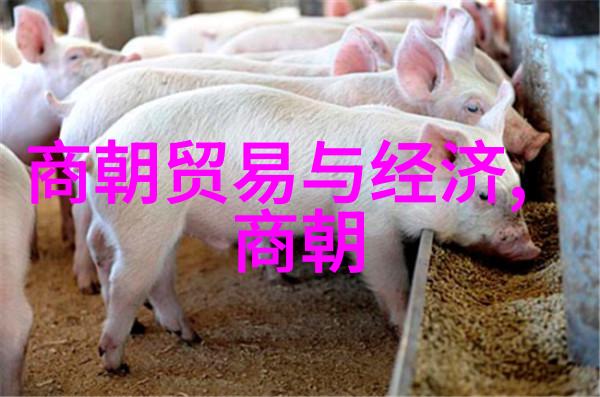 中国古代的朝代年表