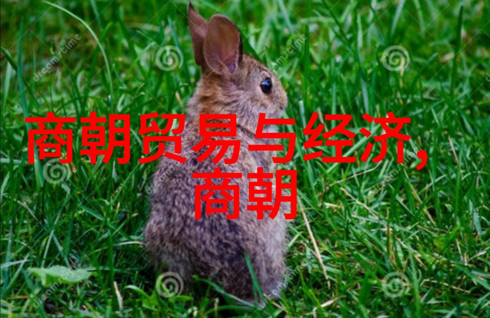 忽必烈与阿里不哥的争夺帝位