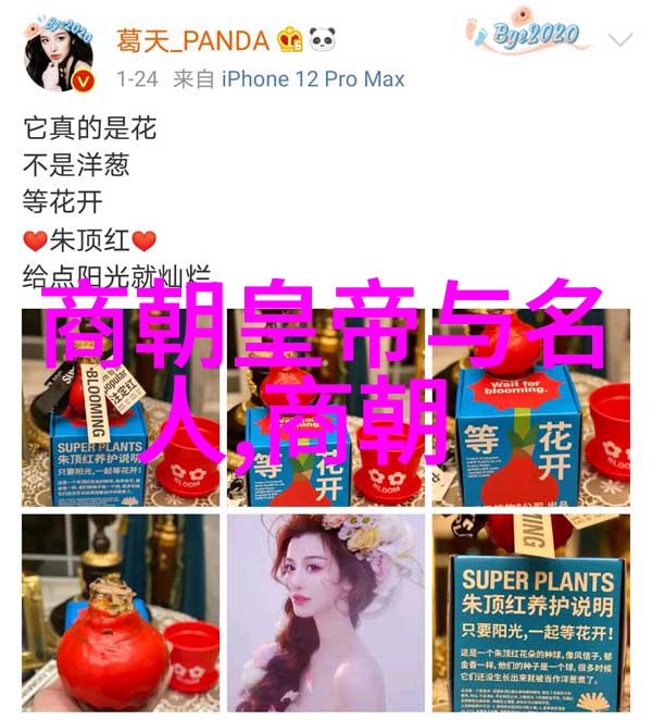南明朝历代帝王顺序表-追溯江山南明朝历代帝王的光辉与沉浮