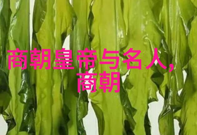 元曲四大名家中的姚天福