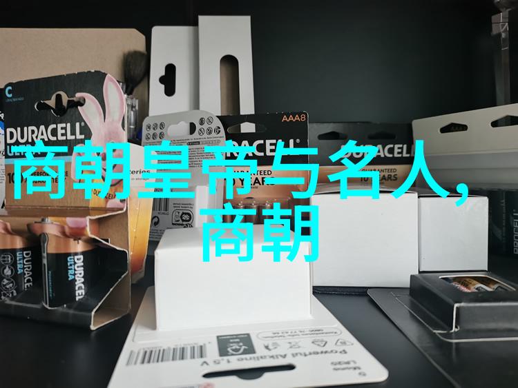 中国历史著名谋士君王后智慧如星辰策略似长河公元前249年