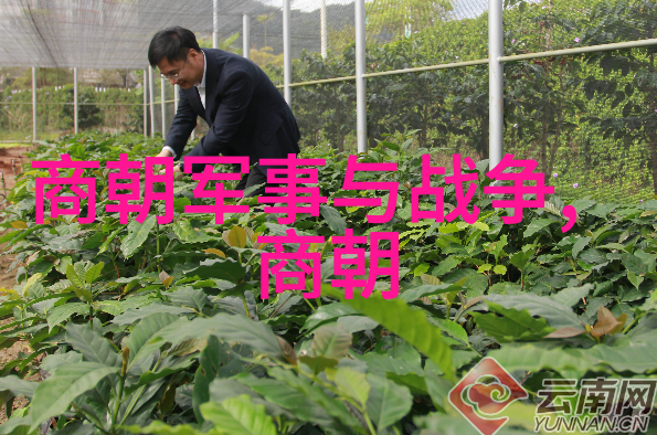 元朝多少年的历史我们来聊聊那段古老又神秘的岁月了