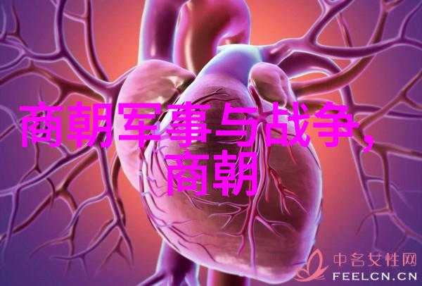 明朝荣衰排行风华绝代与落魄名臣