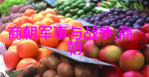 元朝辉煌与衰落从忽必烈到土木堡之变的九百年历史探究