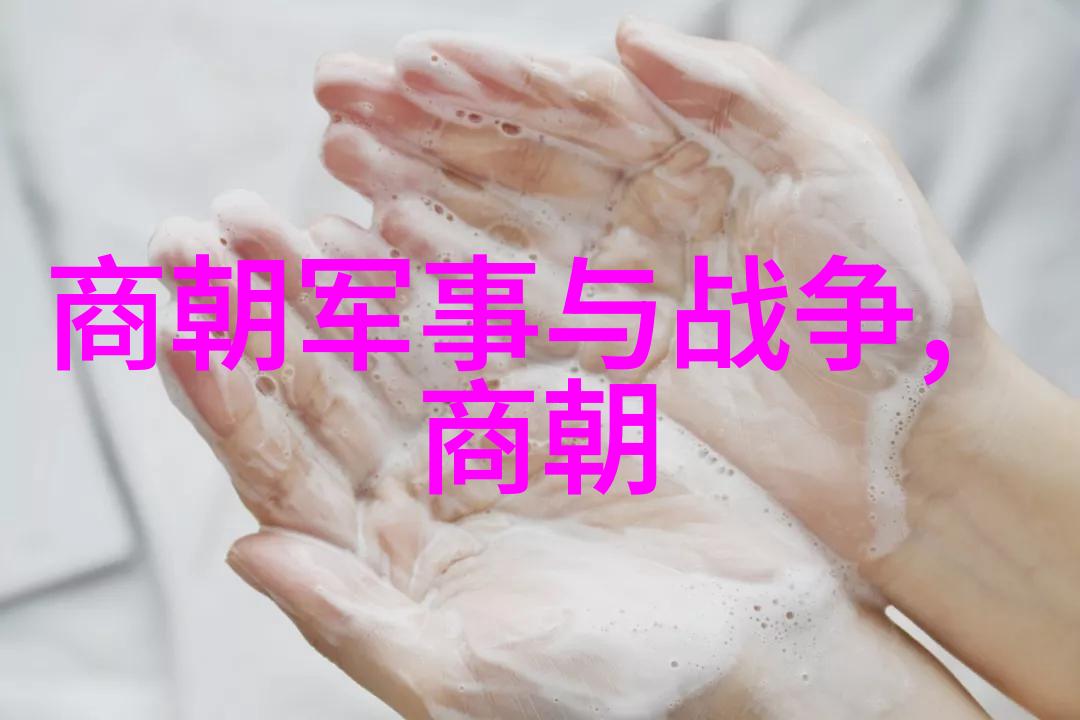 宋代史料探究真实与虚构之间的纠缠