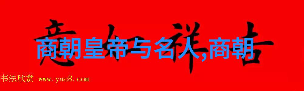 黄兴宋教仁领导国民党三次革命史