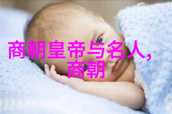 朝代逆袭明朝17位帝王的秘密之战