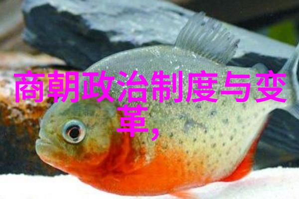 云烟中寻古元朝历史的回响