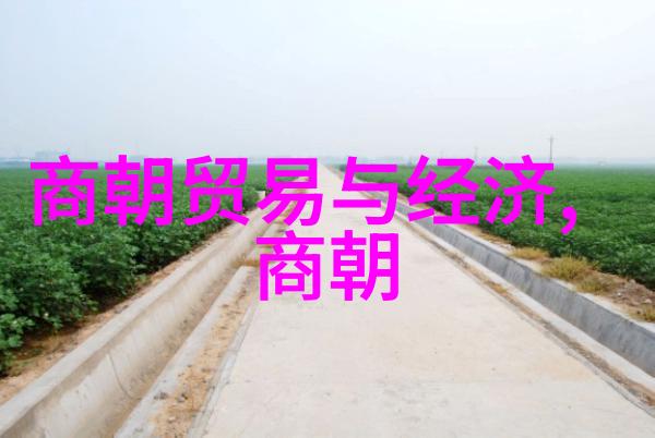 南宋历史简介-江南孤鸿南宋的兴衰与文化遗存