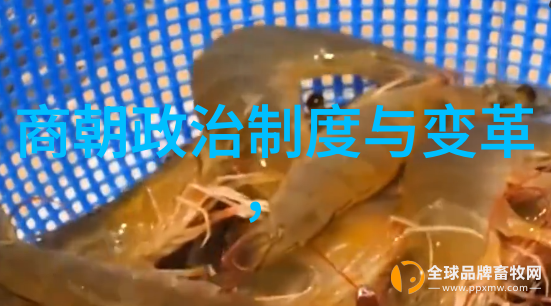 乾隆的秘密皇帝与时间的选择