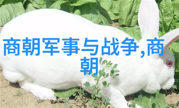 探秘明朝疆域演变一幅历史地图的见证