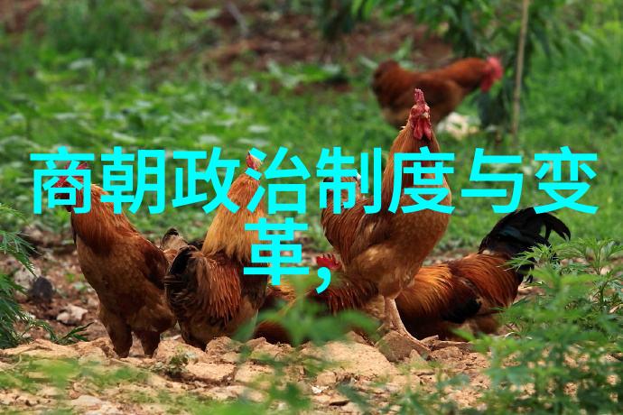 元朝的辽阔帝国从忽必烈到顺帝