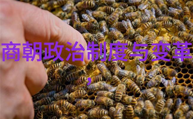 中国教育和科研计算机网的吴青云像星辰般璀璨