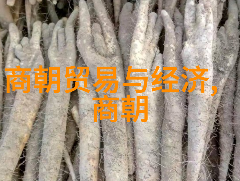 历史朝代顺序表图-时空之轮揭秘中国历代王朝的兴衰变迁