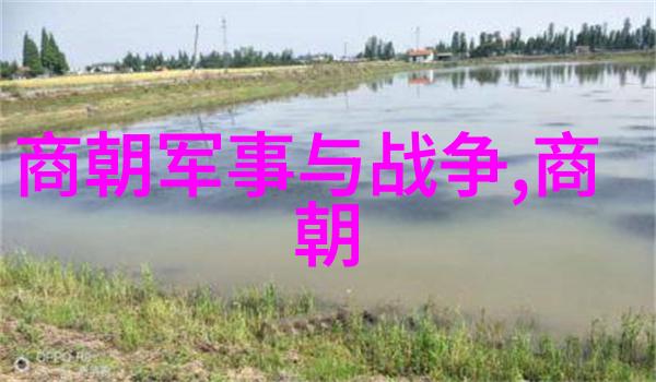 元朝灭亡的深层原因政治腐败经济衰退自然灾害和军事挫折