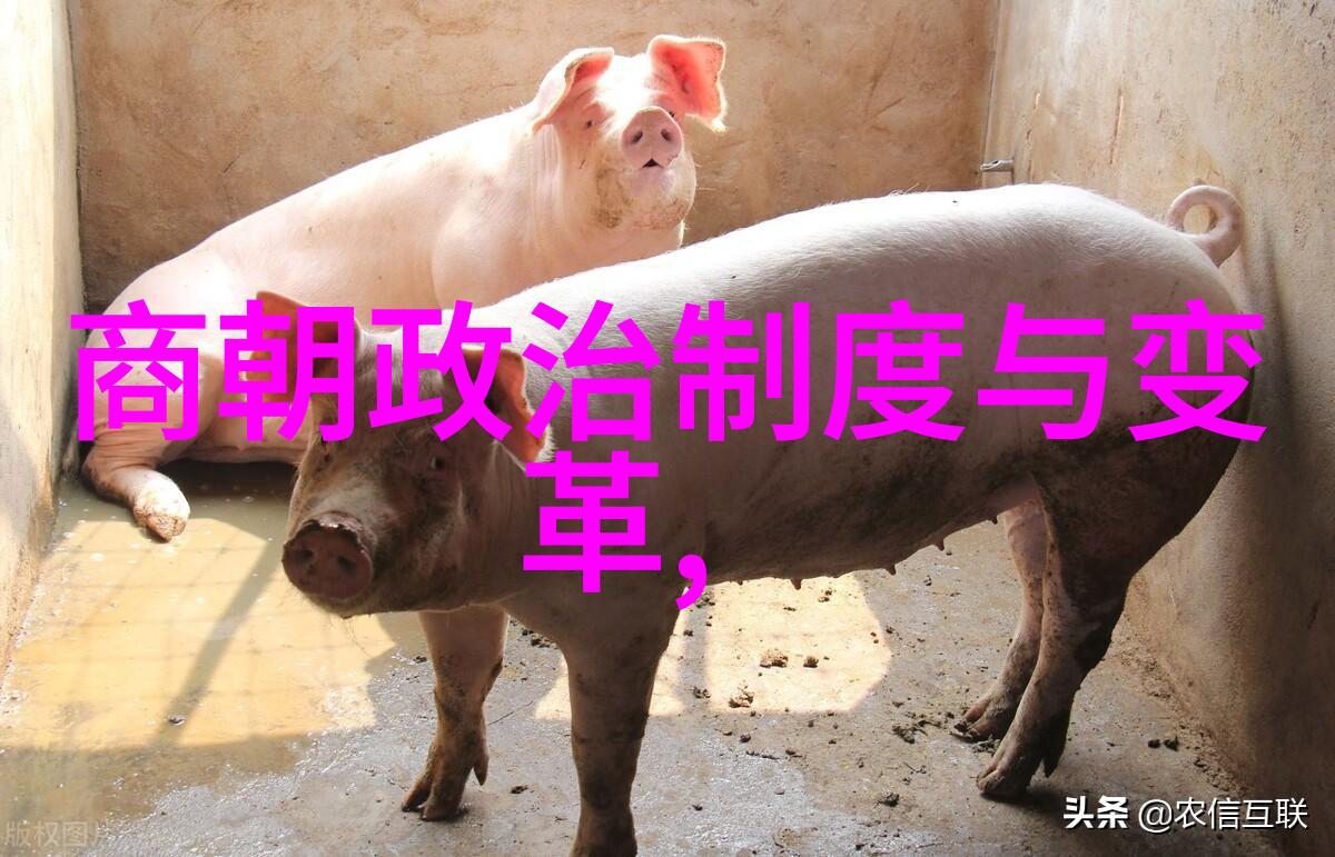 宋代遗踪历经沧桑的生活轨迹