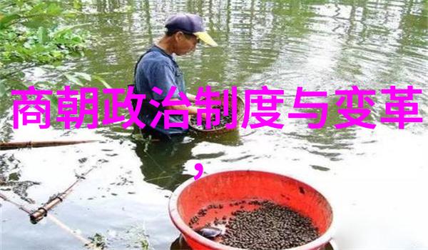 岁月沉浮揭秘明朝那些未曾流传的故事