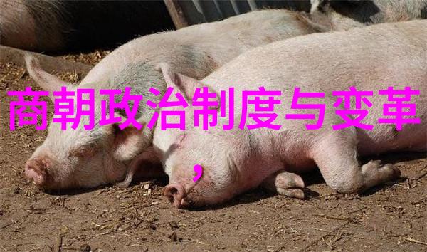 常香玉的豫剧之韵孟庆刚以梦中乐为伴化作河南豫剧丑行中的活生生的艺术灵魂