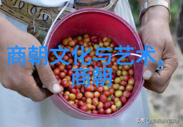 南明朝如何处理与清朝的关系以及这些策略是否成功