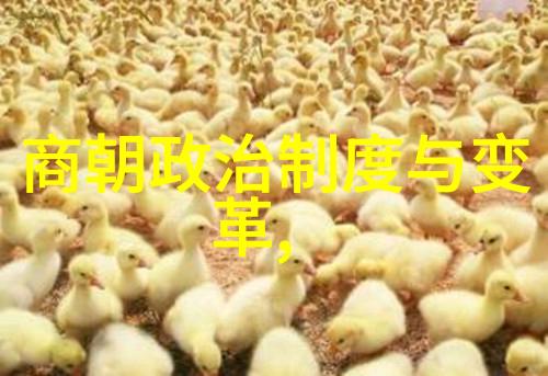 明朝那些事作者的财富之谜