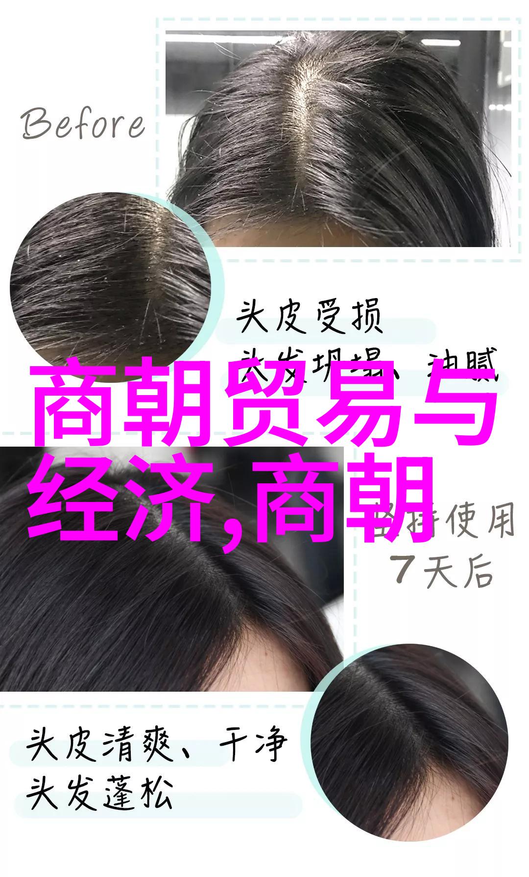 乾隆与雍正皇权之争与心结的深渊