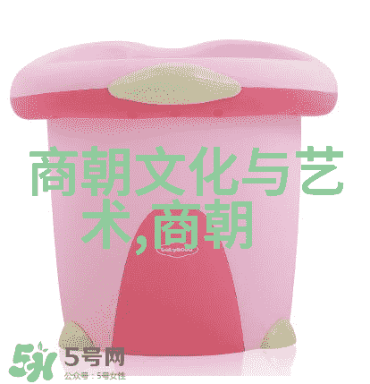 明朝帝王评价的历史考量与文化影响从朱元璋到崇祯探索明代最优秀君主的标准与成就