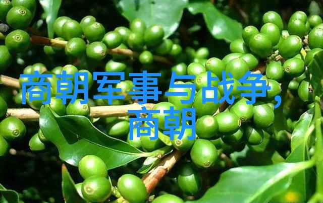元朝的领土辽阔元朝疆域广袤