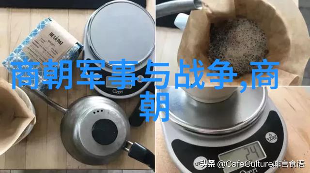北周之变杨坚的权力交接