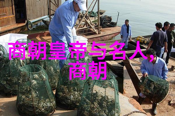 土木堡之战沉默的守军与千年谜团