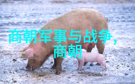 元朝的天文地理与数学之光历史科技成就探究